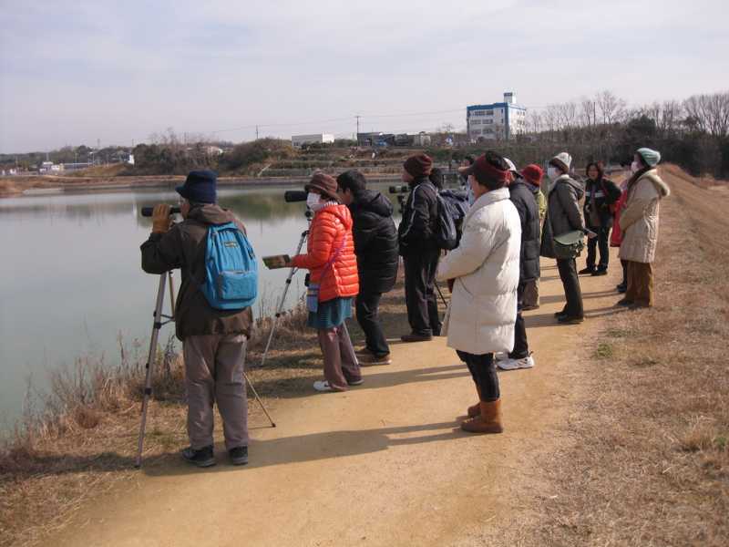 釜谷池野鳥観察会