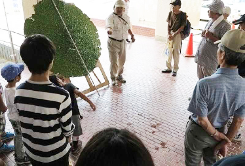 西島オニバス観察会