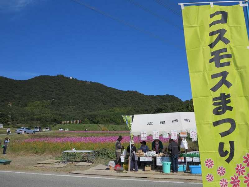 広尾西　後池かいぼり・コスモス祭り