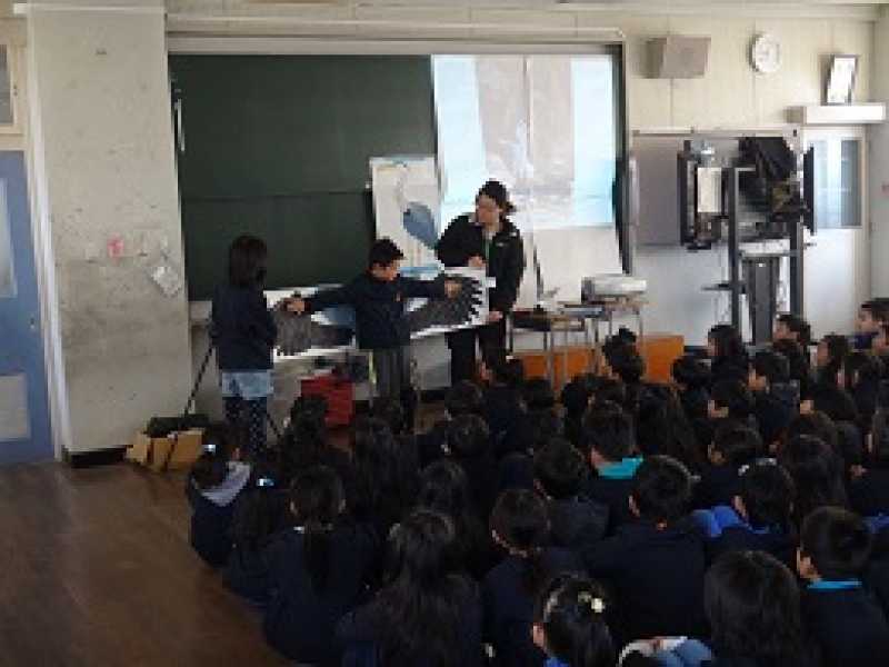 蓮池小学校　ため池学習