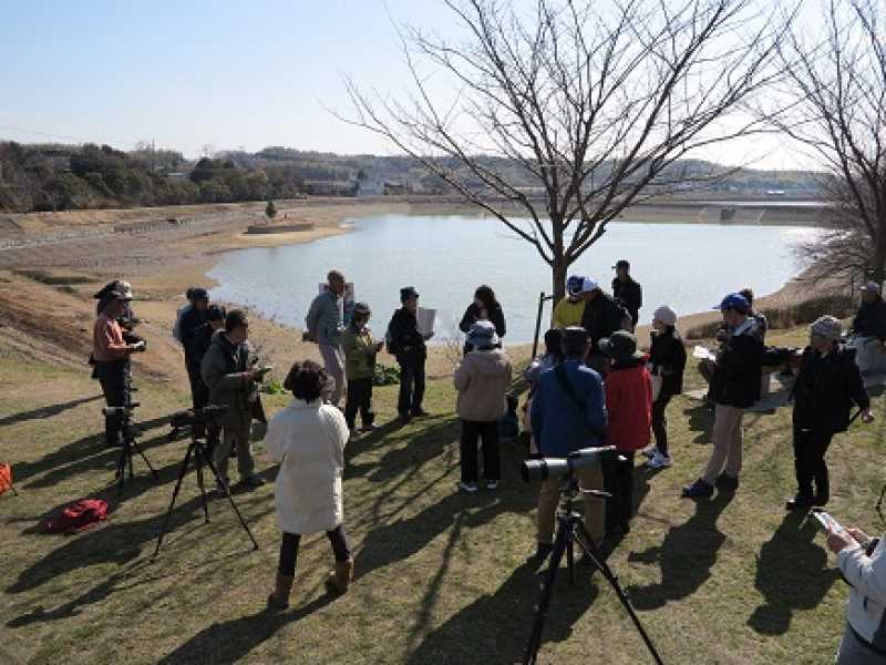 釜谷池　野鳥観察会