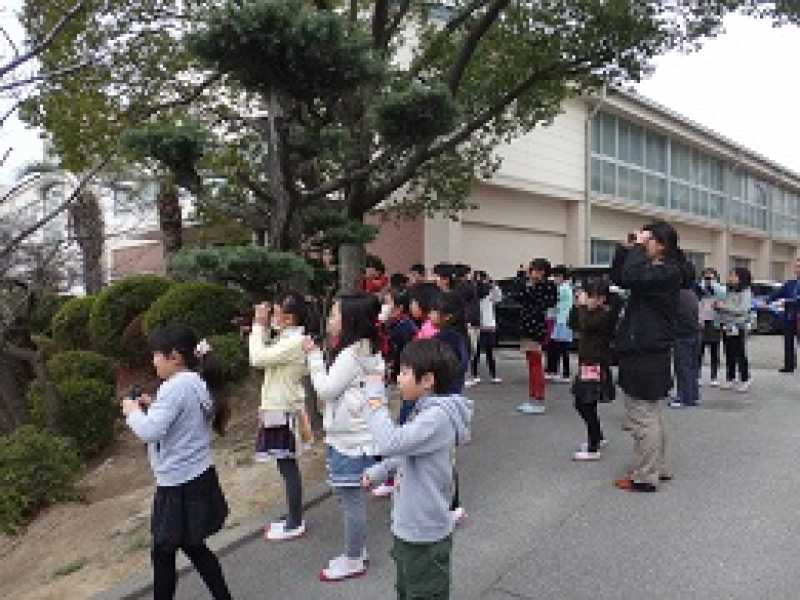 大久保小学校　ため池学習