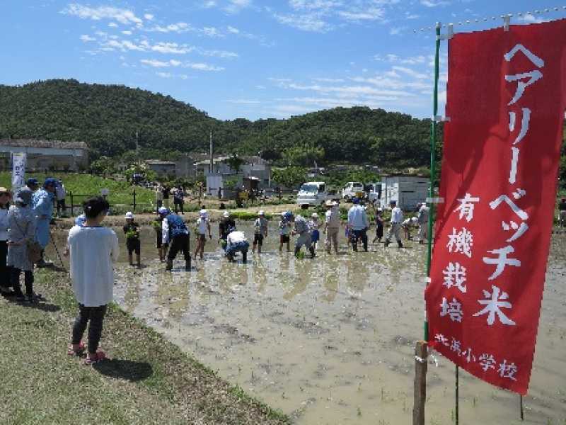 北浜小学校　ふるさと学習