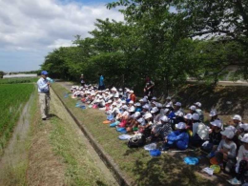 天満小学校　環境学習