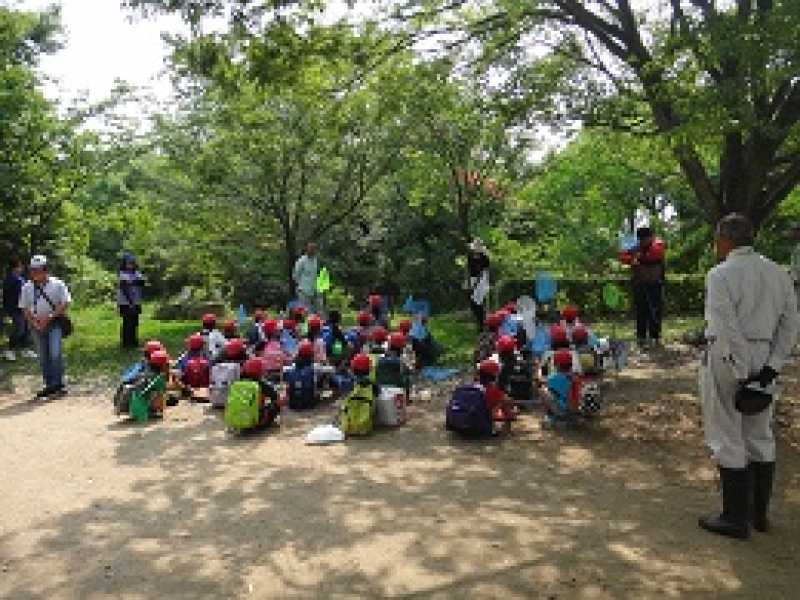 北浜小学校　ふるさと学習