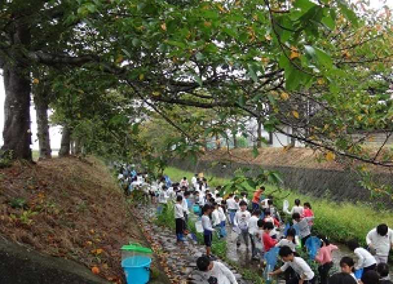 天満小学校　環境学習