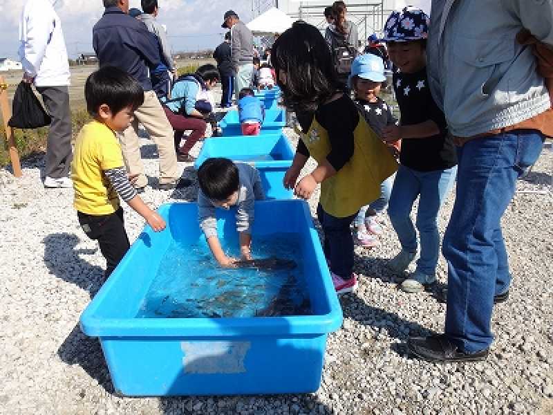 広谷池かいぼり祭り