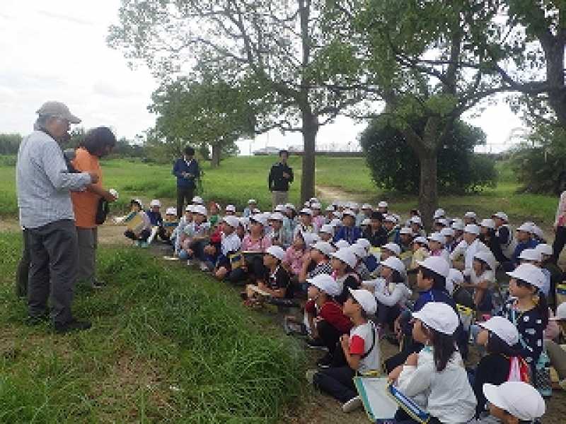 沢池小学校ため池学習