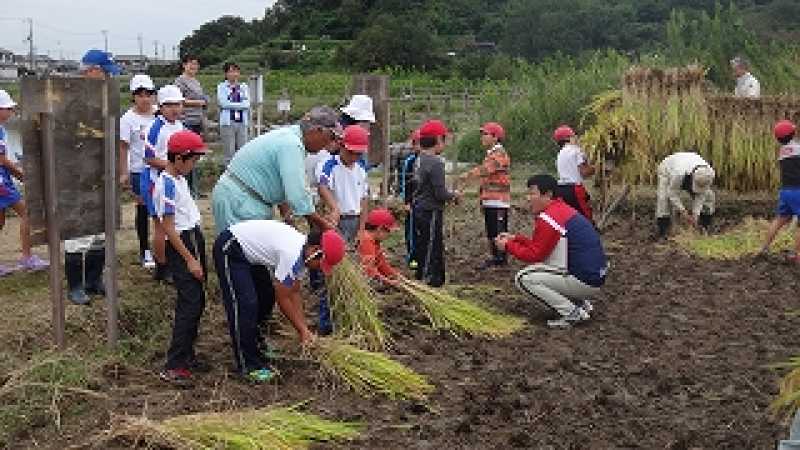 北浜小学校ため池学習