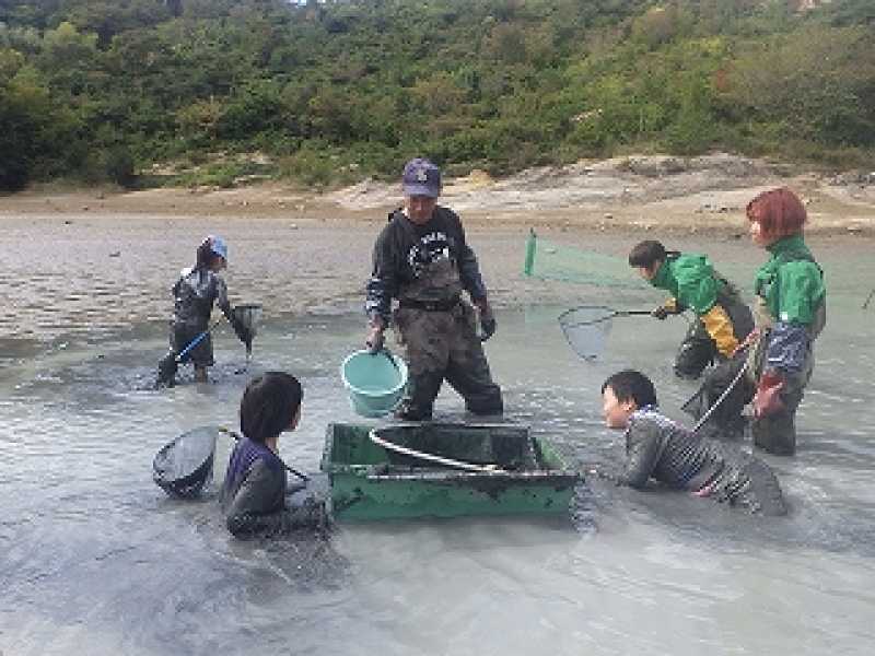 青池かいぼり